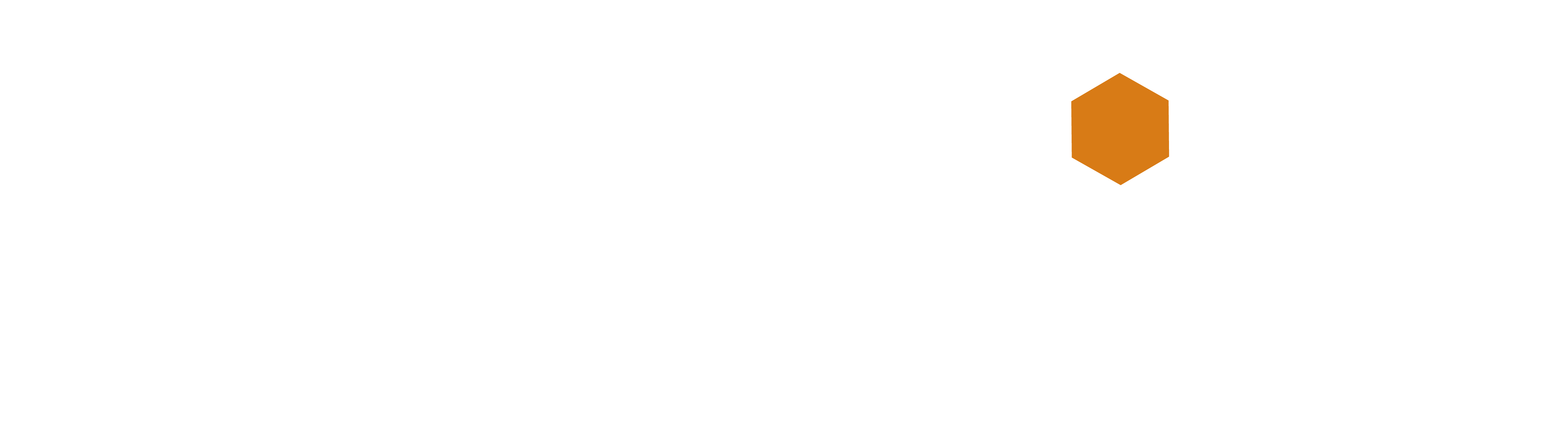 Detroit Real Estate Media